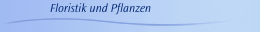 Floristik und Pflanzen