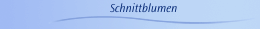 Schnittblumen