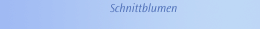 Schnittblumen