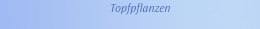 Topfpflanzen